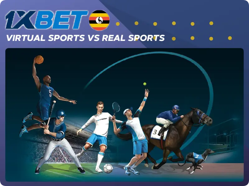 m sports bet
